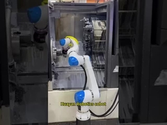 ハウヤン・ハンス ロボットコボット